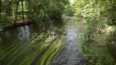 夏季乌尔河景观。 流动的溪水。 位于德国巴伐利亚州斯塔恩伯格旁边